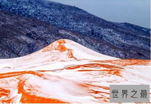 世界上最热的沙漠 撒哈拉沙漠简介：