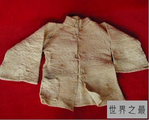 世界最毒的树木 箭毒木