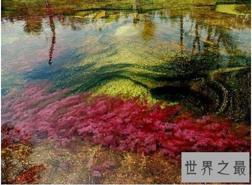 6.彩虹河 哥伦比亚