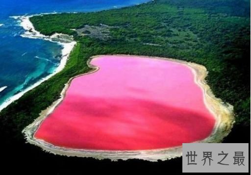 1.粉红湖 澳大利亚埃斯佩兰斯