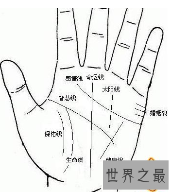 【图】手掌上的财运线，有什么神奇的秘密？