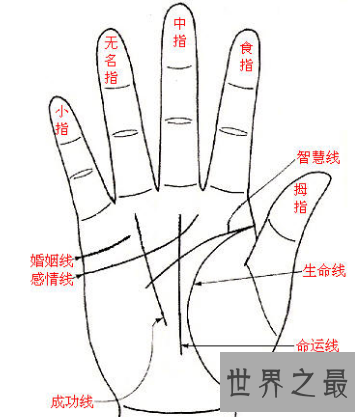 【图】手掌上的财运线，有什么神奇的秘密？