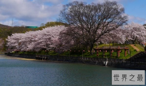 世界上最窄的海峡 不到十米的土渊海峡