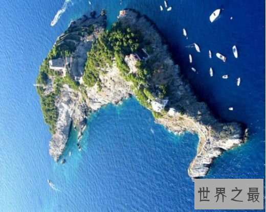 5.意大利海豚岛