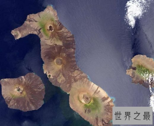 9.伊莎贝拉棕色海马