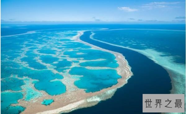 世界上最大的海 相当于半个中国海洋面积的珊瑚海