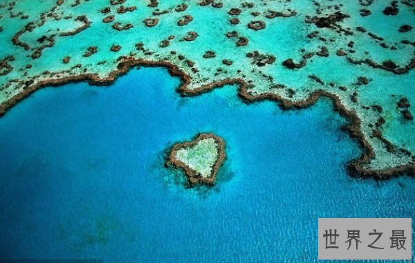 世界上最大的海 相当于半个中国海洋面积的珊瑚海