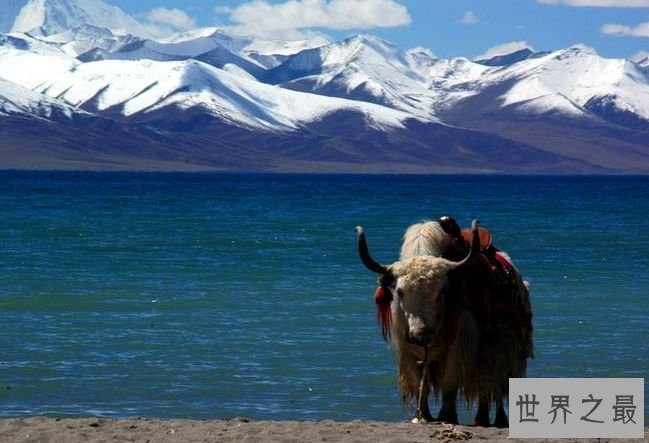 世界上最高的高原 世界屋脊青藏高原