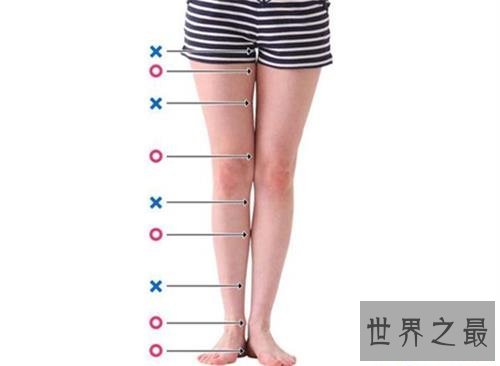 【图】自测标准腿型，快来试试吧