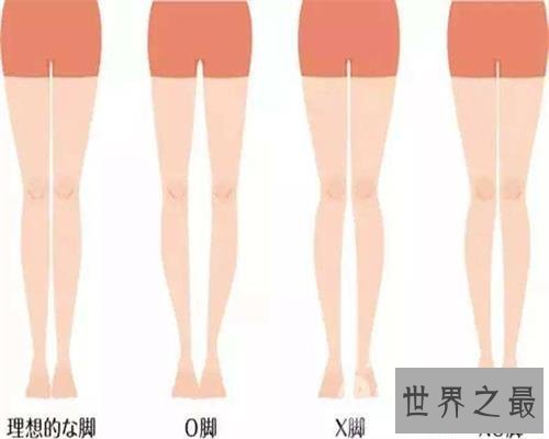 【图】自测标准腿型，快来试试吧