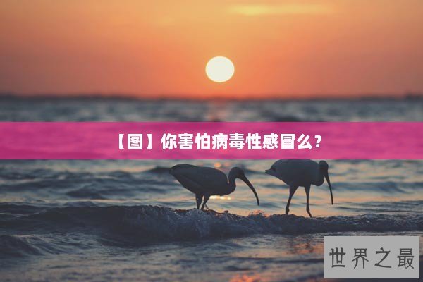 【图】你害怕病毒性感冒么? 【图】你害怕病毒性感冒么?