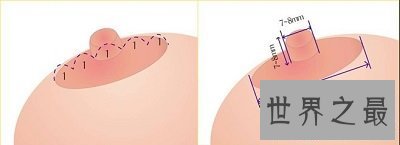 【图】西方女性最标准的乳头(图片)，看看本人达标吗