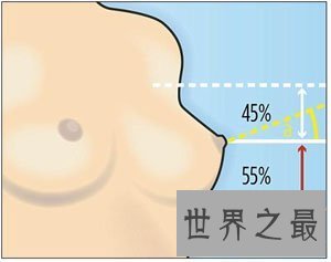 【图】西方女性最标准的乳头(图片)，看看本人达标吗