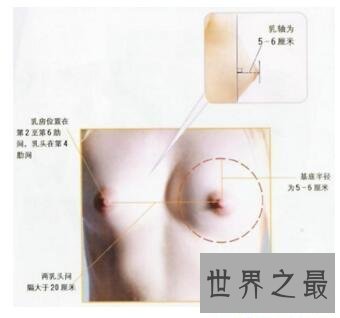 【图】西方女性最标准的乳头(图片)，看看本人达标吗