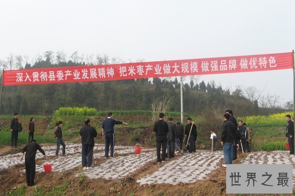 【图】四川人口前五大县排名，你知道哪几个?