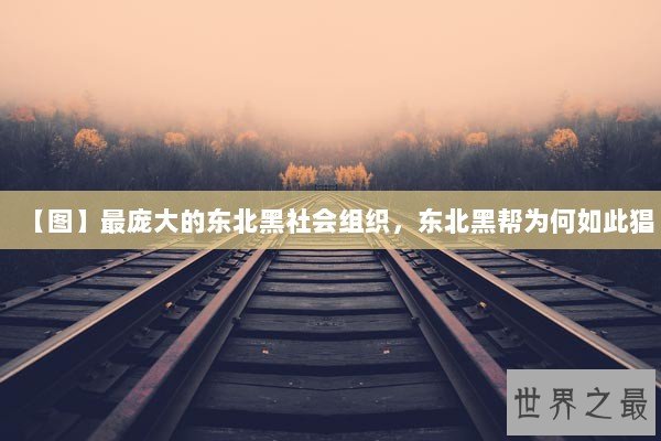 【图】最庞大的东北黑社会组织，东北黑帮为何如此猖