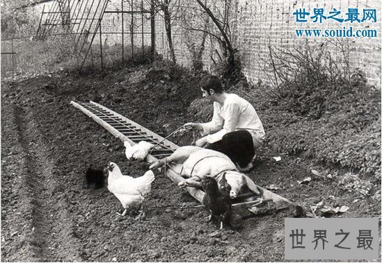 【图】最恶心的电影，演员吃的粪便是真的(粉红火烈鸟