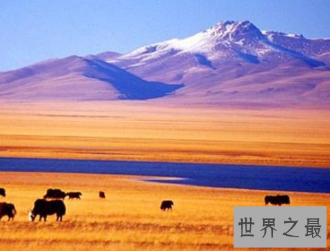 2.中国四大无人区之可可西里