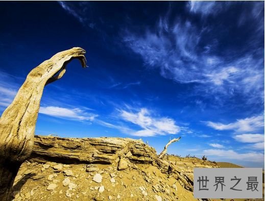 10.罗布泊——死亡之海