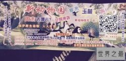【图】世界上最奇葩的动物园 玉林动物园笑趴世界