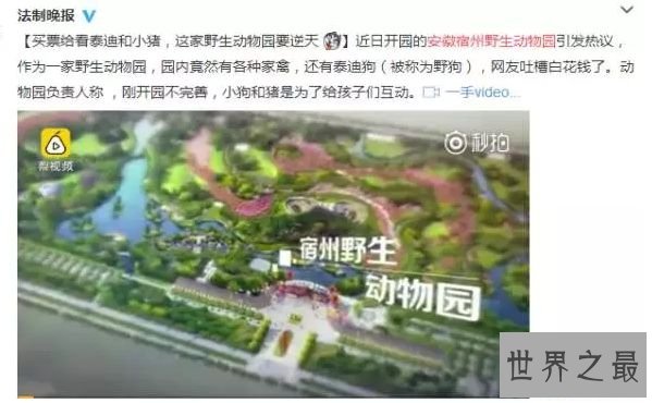 世界上最奇葩的动物园 玉林动物园笑趴世界