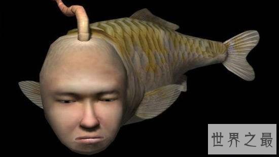 【图】世界上脸最像人类的鱼——稀罕可恶的“人面鱼