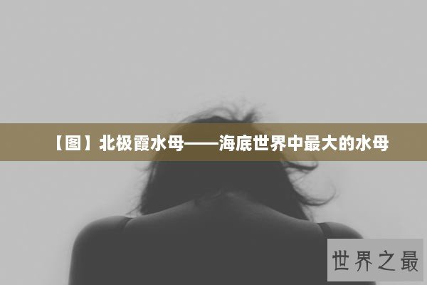 【图】北极霞水母——海底世界中最大的水母