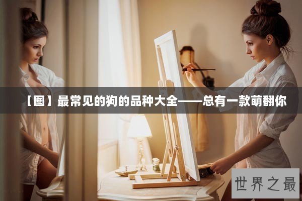 【图】最常见的狗的品种大全——总有一款萌翻你