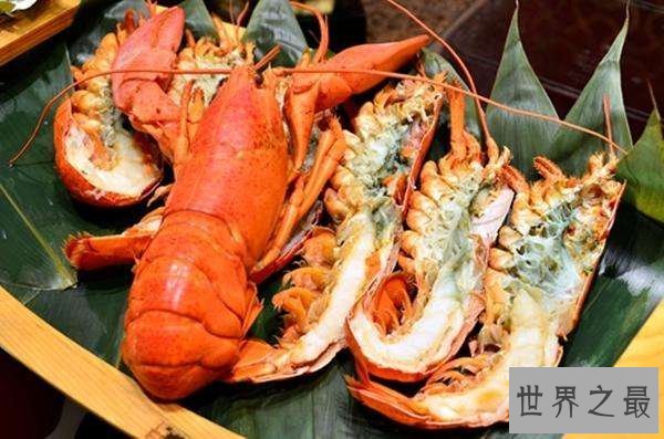 【图】最大的骗局——波士顿龙虾它竟然是个骗子！