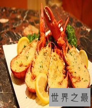 【图】最大的骗局——波士顿龙虾它竟然是个骗子！