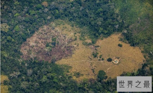 世界上最大的平原 560万平方公里的亚马孙平原