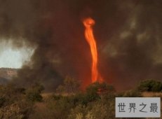 【图】世界五大火焰龙卷风 火龙直冲上天