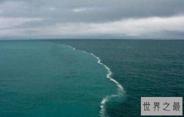 世界上最淡的海 地球最大的半淡水域