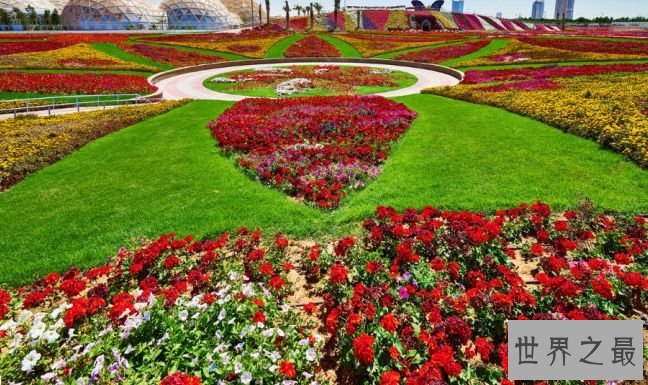 世界上最大的花园 4500万枝花打造沙漠花园