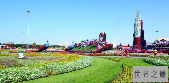 世界上最大的花园 4500万枝花的沙漠花园世界上最大的花园 4500万枝花打造沙漠花园