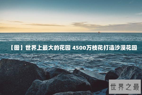 【图】世界上最大的花园 4500万枝花打造沙漠花园