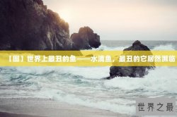 【图】世界上最丑的鱼——水滴鱼，最丑的它居然濒临