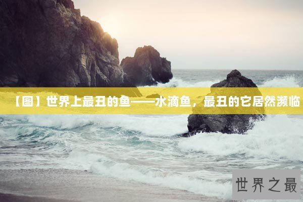 【图】世界上最丑的鱼——水滴鱼，最丑的它居然濒临