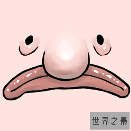 【图】世界上最丑的鱼——水滴鱼，最丑的它居然濒临