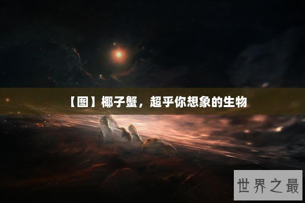 【图】椰子蟹，超乎你想象的生物