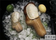 【图】 象拔，长得有点色情的好食材