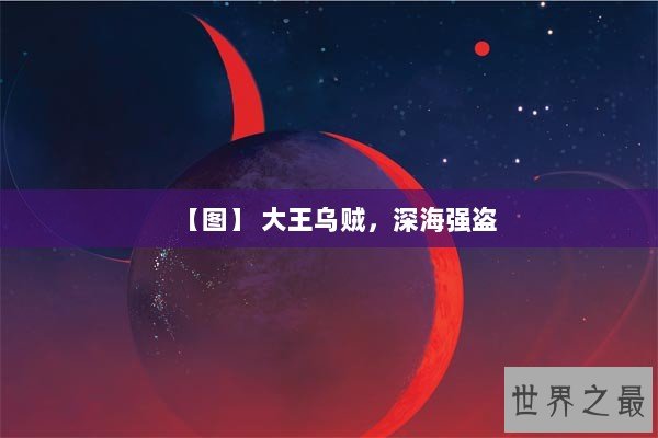 【图】 大王乌贼，深海强盗