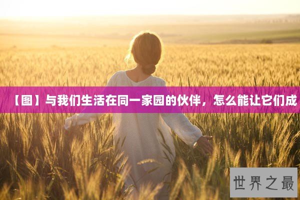 【图】与我们生活在同一家园的伙伴，怎么能让它们成