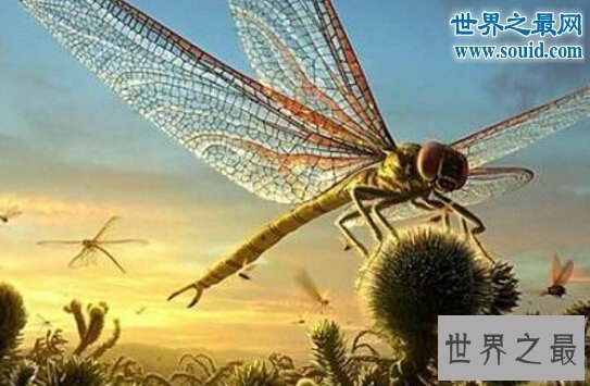 【图】关于虫子的8个世界之最，最大的甲虫比手掌还大