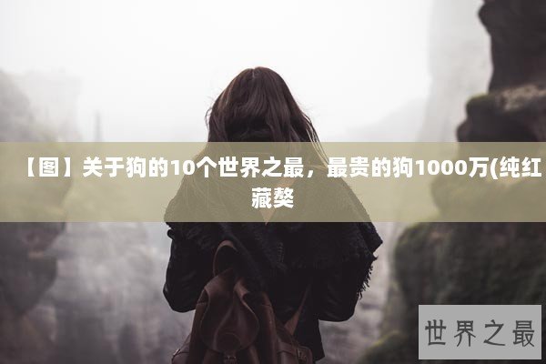 【图】关于狗的10个世界之最，最贵的狗1000万(纯红藏獒
