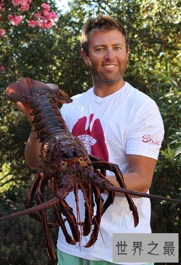 【图】世界上最大的龙虾，长1.2米重40斤的大龙虾(图片