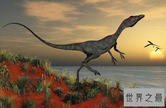 【图】世界上最小的恐龙，美颌龙最长都只要1米