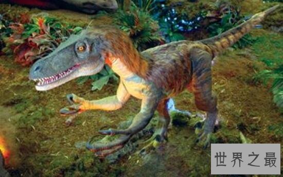 【图】世界上最小的恐龙，美颌龙最长都只要1米