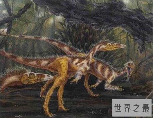 【图】世界上最小的恐龙，美颌龙最长都只要1米