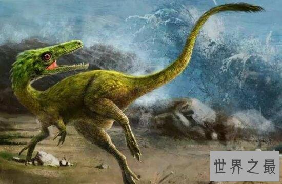 【图】世界上最小的恐龙，美颌龙最长都只要1米